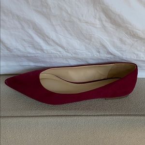 Circus by Sam Edelman pointed toe flats